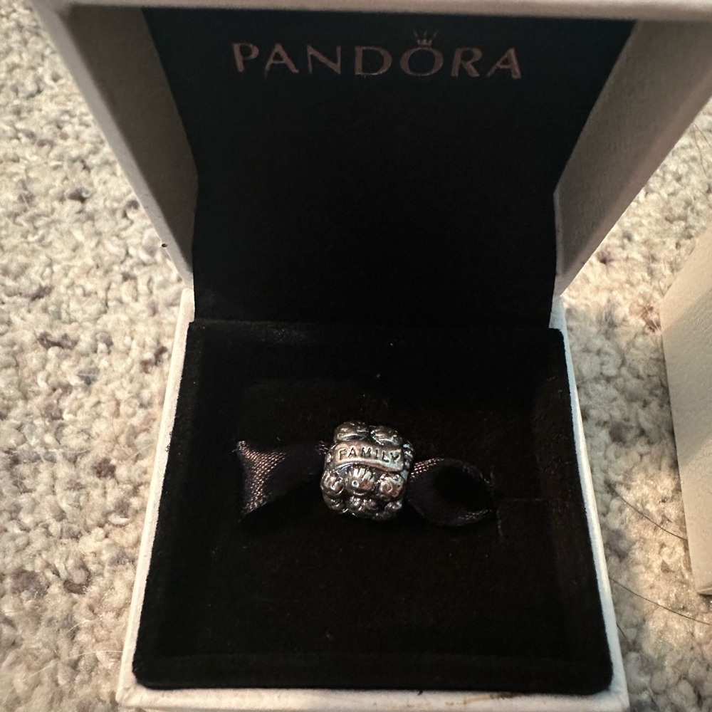 Pandora Silver Family/Love Charm